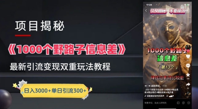 信息差项目拆解：从引流到变现的完整实操教程