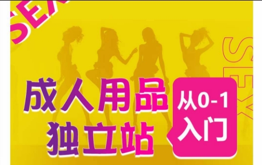 成人用品独立站从0到1运营指南：7大成功案例与全流程实操教程