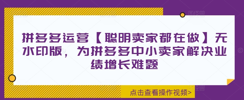 拼多多运营实战教程：中小卖家解决业绩增长的24节必修课