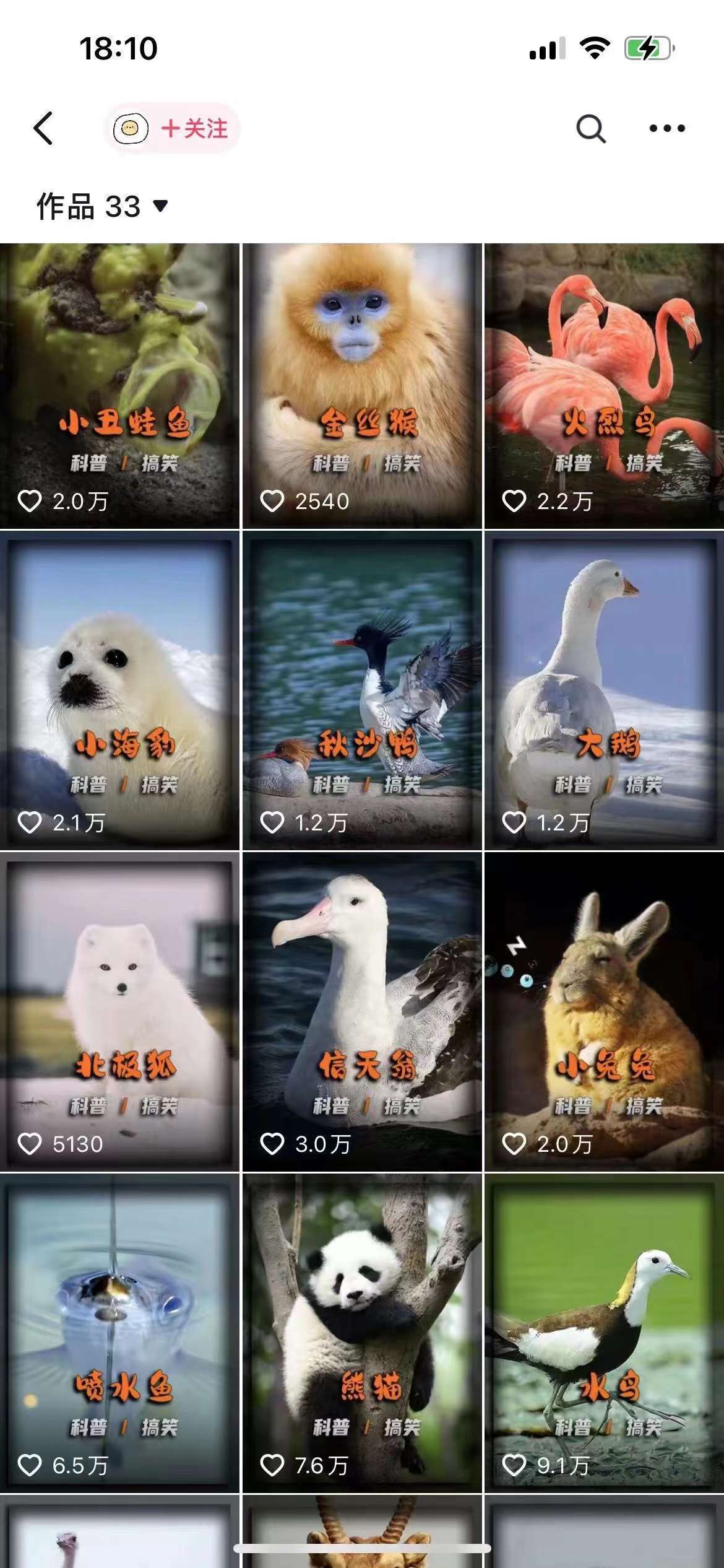 动物科普解说项目,撸创作者伙伴计划收益,保姆级实战教程