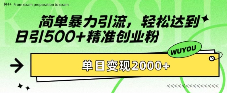 2024最新引流创业粉方法：日引500+精准粉，单日变现2k实操教程