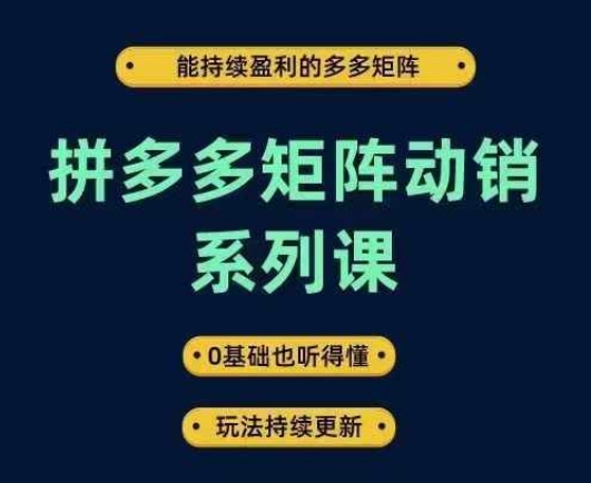 拼多多矩阵动销实战指南：4步打造持续盈利店铺，零基础入门