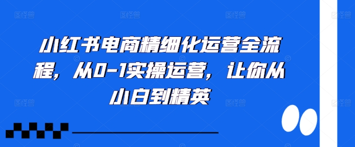 完整小红书电商从0到1精细化运营全流程实操教程：26节视频分步指南，助你快速从小白变运营精英