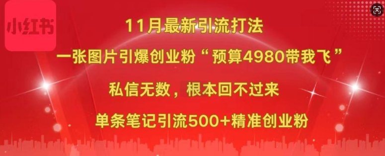 小红书图片引流教程：如何用一张图引爆500+精准创业粉？（3步实操）
