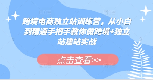 跨境电商独立站从0到1全流程实操指南：50课时从小白到精通实战训练营