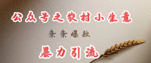 deepseek写农村小项目,条条爆款,暴力引流