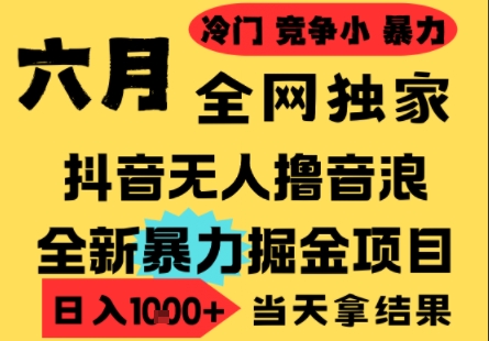 25年6月高爆抖音无人直播最新撸音浪掘金项目，小白可做，无脑日入1k+，门槛低可批量矩阵【揭秘】