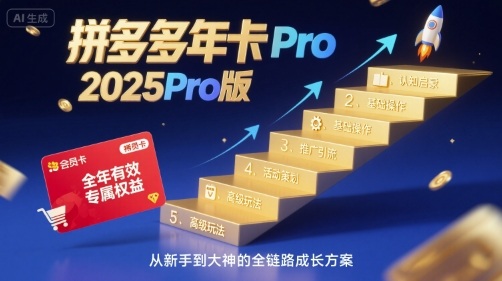 2025拼多多运营Pro教程：五大板块系统教学，快速提升销量