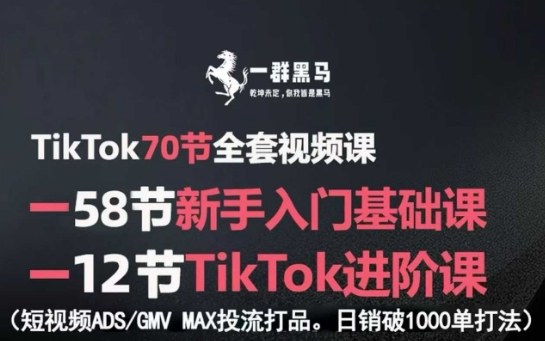 TikTok电商从入门到精通教程：ADS与GMV MAX投流打法，实现日销破千单