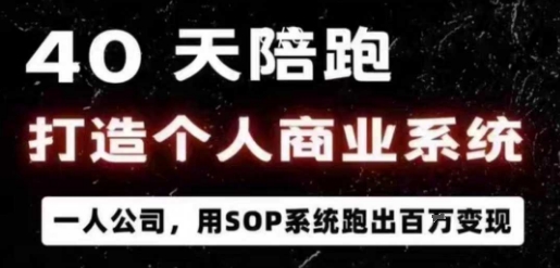 40天打造一人公司：用SOP与AI系统实现百万变现的实操指南