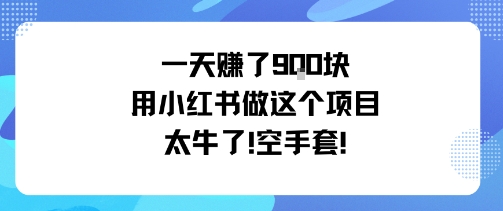 小红书赚钱项目：如何零成本一天赚900元？（实操教程）