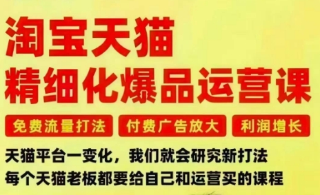 淘宝天猫爆品运营课：免费流量+付费放大，3大痛点一次解决