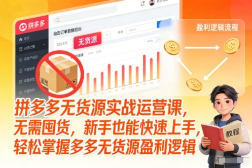 拼多多无货源新手教程：无需囤货，轻松掌握盈利逻辑
